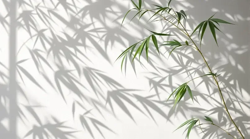 竹影摇风 - 小小影视精选影像封面